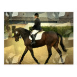 Dressage Competition Postcard