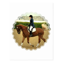 Dressage Extensions Postcard