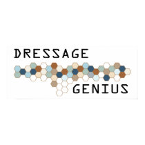 Dressage Genius posters by itsallhot Dressage Genius posters