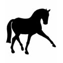 Dressage Half Pass Silhouette t-shirts