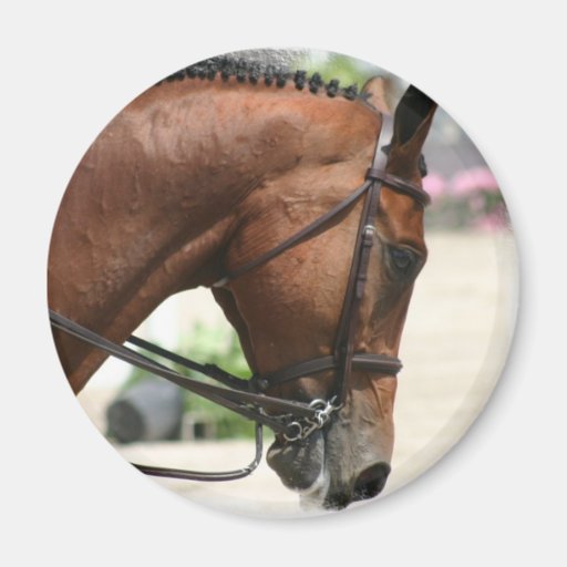 Dressage Horse Magnet