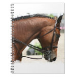 Dressage Horse Notebook