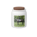Dressage Horse Show Candy Jar