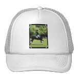 Dressage Horse Show Design Baseball Hat