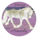 Dressage Horse Stickers