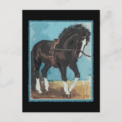 Dressage Horse Working on Lunge Line Equine Art Post Card