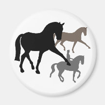 Dressage Horses Trio Refrigerator Magnets