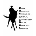 Dressage Is Horse Silhouette Cotton T Shirt shirt