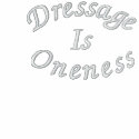 Dressage Is Oneness Embroidered Ladies T Shirt embroideredshirt