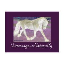 Dressage Naturally Postcards