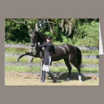 Dressage Postcard, Spanish Walk image, In-hand cards