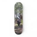 Dressage Skate skateboards