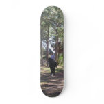 Dressage Skate Skate Board