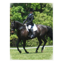 Dressage Tests Postcard