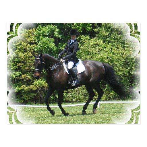 Dressage Tests Postcard