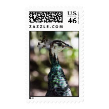 Dressed in Her Finest Stamp