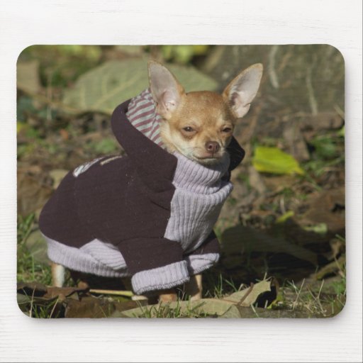 Dressed to kill mouse pads