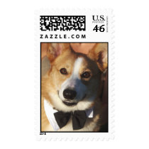 Dressed to the K-Nines Stamp