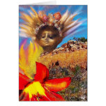 Dressing The Desert Cards