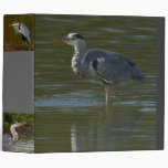 Dribbling Heron Avery Binder