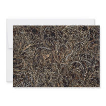 Dried beach vegetation, Trinidad Personalized Invite