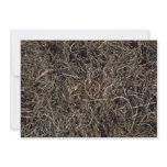 Dried beach vegetation, Trinidad Personalized Invite