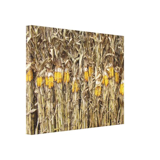 Dried Corn Stalk Decorations Canvas Print | Zazzle
