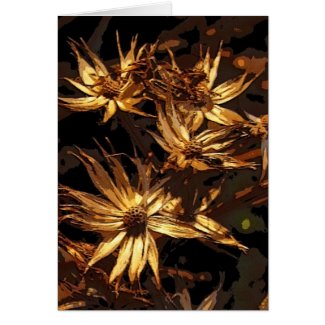 Dried Flower Abstract