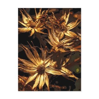Dried Flower Abstract