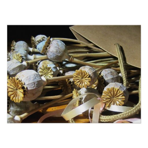 Dried Flower Poppy Pods Custom Invites