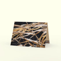 Dried Grasses cards