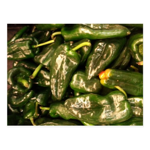 Dried Jalapeno Peppers Postcard Zazzle