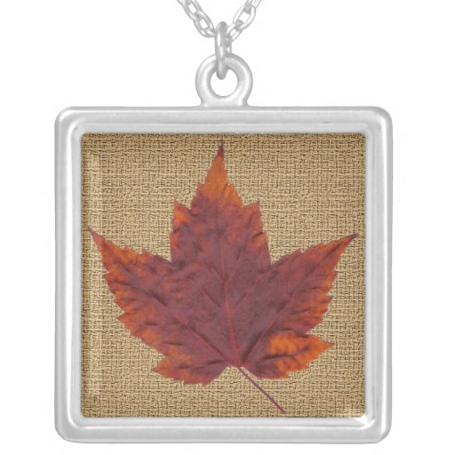 Dried Maple Leaf