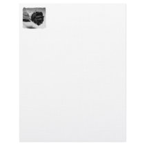 Dried Rose Photograph - Black & White Personalized Letterhead