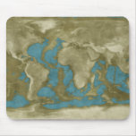 Dried World Map Mouse Pads
