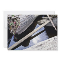 Drift Logs, Gold Bluffs Beach Invitations