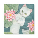 Drifting mercat magnet