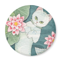 Drifting mercat magnet magnets