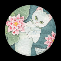 Drifting mercat magnet