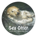 Drifting SEA OTTER Art Series I Stickers