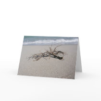 driftwood1 cards
