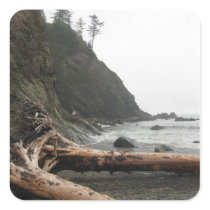 Driftwood at the beach square stickers