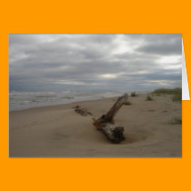 Driftwood cards