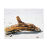 Driftwood Card Postcard