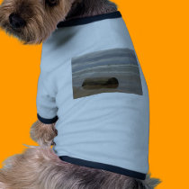 Driftwood pet clothing