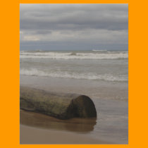 Driftwood flyers