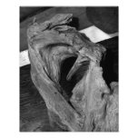 Driftwood Heart Art Photo