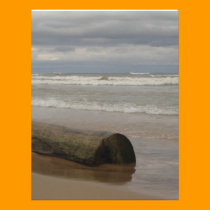 Driftwood letterhead