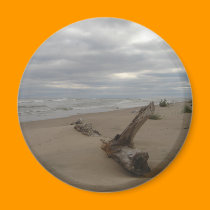 Driftwood magnets