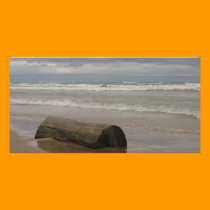 Driftwood photo cards